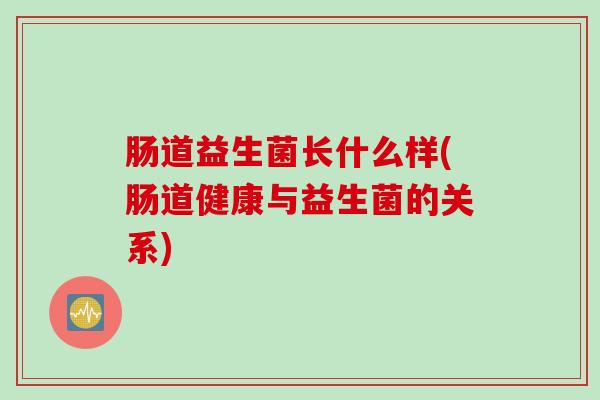 肠道益生菌长什么样(肠道健康与益生菌的关系)