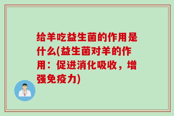 给羊吃益生菌的作用是什么(益生菌对羊的作用：促进消化吸收，增强免疫力)