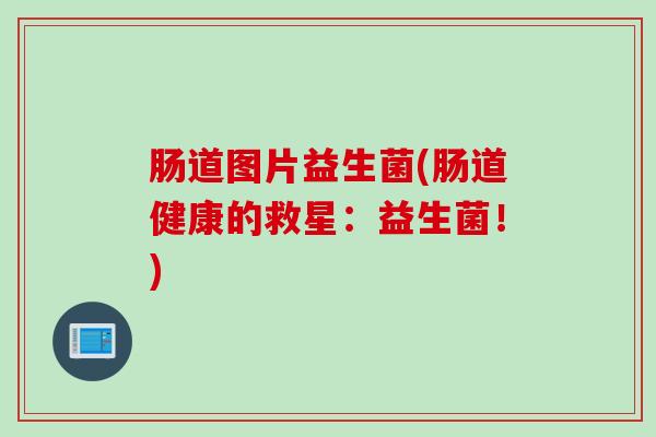 肠道图片益生菌(肠道健康的救星：益生菌！)