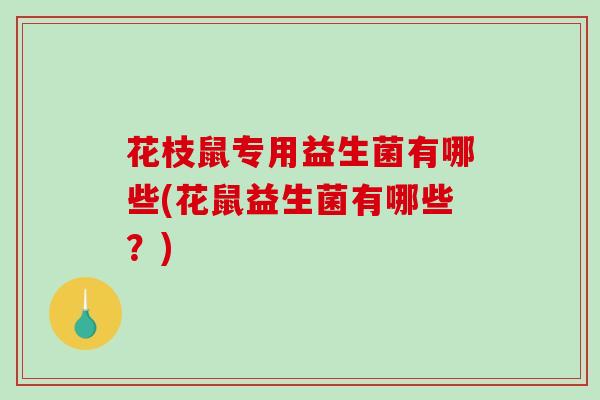 花枝鼠专用益生菌有哪些(花鼠益生菌有哪些？)