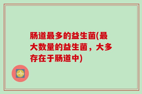 肠道多的益生菌(大数量的益生菌，大多存在于肠道中)