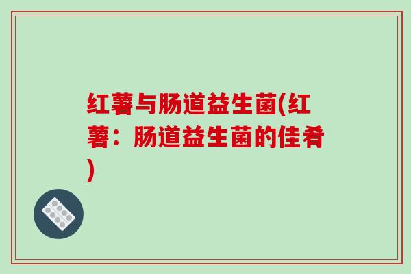 红薯与肠道益生菌(红薯：肠道益生菌的佳肴)
