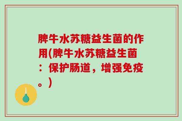 脾牛水苏糖益生菌的作用(脾牛水苏糖益生菌：保护肠道，增强免疫。)
