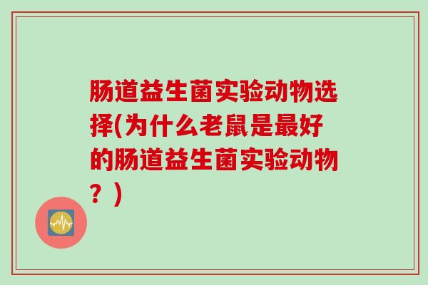 肠道益生菌实验动物选择(为什么老鼠是最好的肠道益生菌实验动物？)