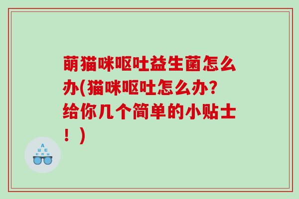 萌猫咪益生菌怎么办(猫咪怎么办？给你几个简单的小贴士！)