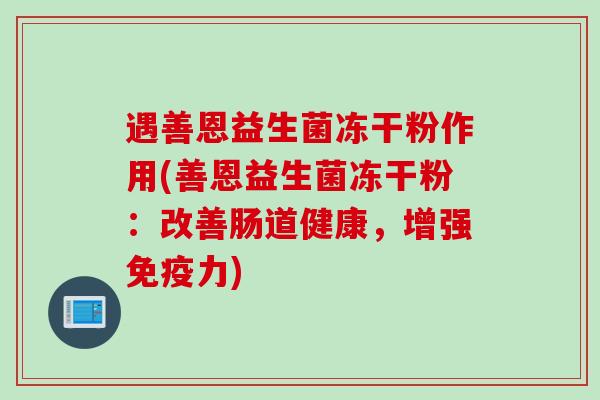 遇善恩益生菌冻干粉作用(善恩益生菌冻干粉：改善肠道健康，增强免疫力)