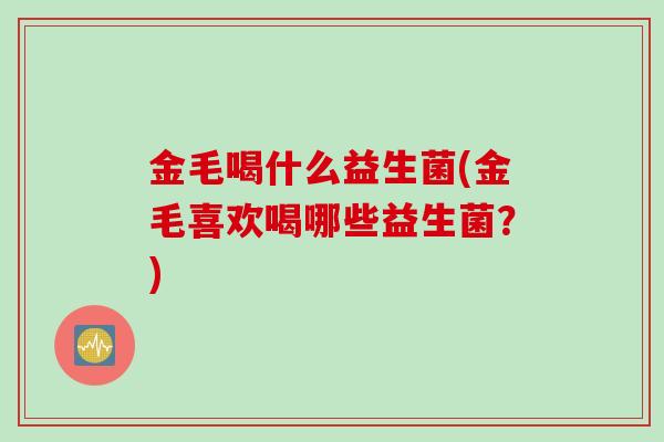 金毛喝什么益生菌(金毛喜欢喝哪些益生菌？)