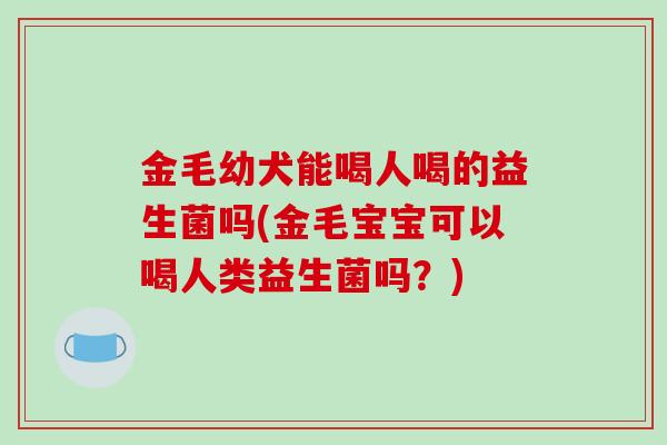 金毛幼犬能喝人喝的益生菌吗(金毛宝宝可以喝人类益生菌吗？)