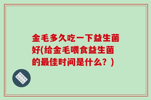 金毛多久吃一下益生菌好(给金毛喂食益生菌的最佳时间是什么？)