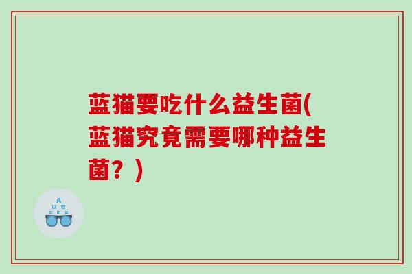 蓝猫要吃什么益生菌(蓝猫究竟需要哪种益生菌？)