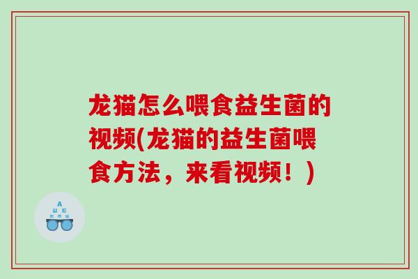 龙猫怎么喂食益生菌的视频(龙猫的益生菌喂食方法，来看视频！)
