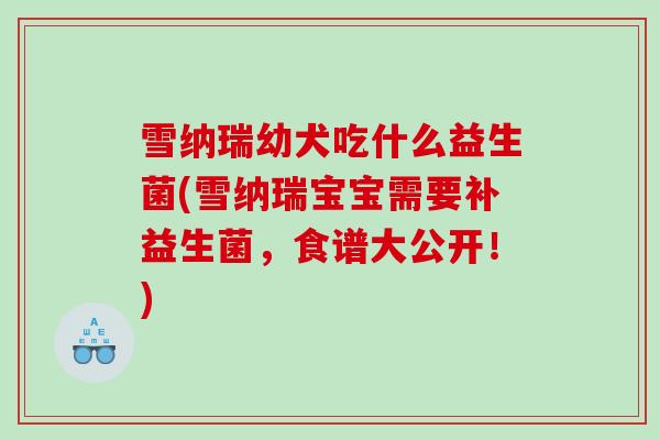 雪纳瑞幼犬吃什么益生菌(雪纳瑞宝宝需要补益生菌，食谱大公开！)