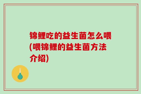 锦鲤吃的益生菌怎么喂(喂锦鲤的益生菌方法介绍)