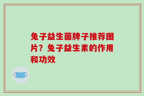 兔子益生菌牌子推荐图片？兔子益生素的作用和功效