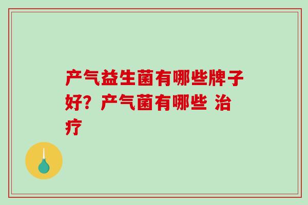 产气益生菌有哪些牌子好？产气菌有哪些 