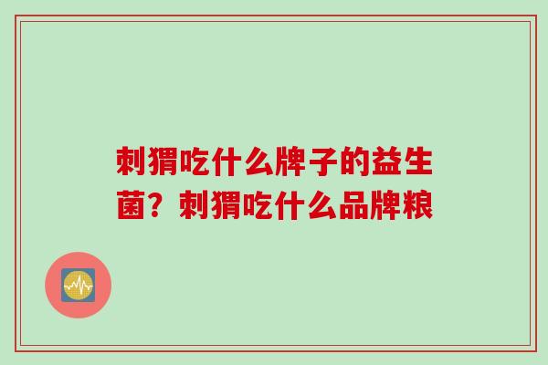 刺猬吃什么牌子的益生菌？刺猬吃什么品牌粮