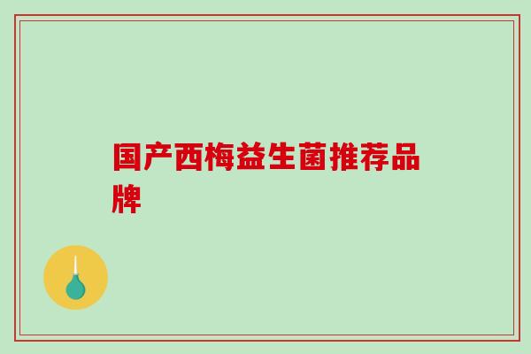 国产西梅益生菌推荐品牌