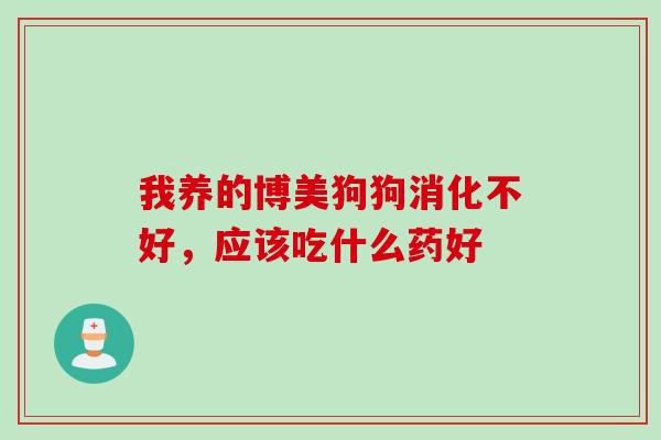 我养的博美狗狗消化不好，应该吃什么药好