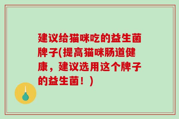 建议给猫咪吃的益生菌牌子(提高猫咪肠道健康，建议选用这个牌子的益生菌！)