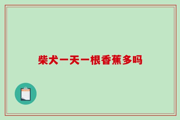 柴犬一天一根香蕉多吗