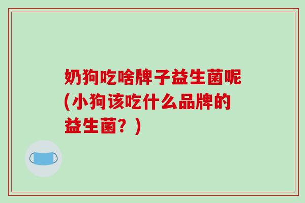奶狗吃啥牌子益生菌呢(小狗该吃什么品牌的益生菌？)