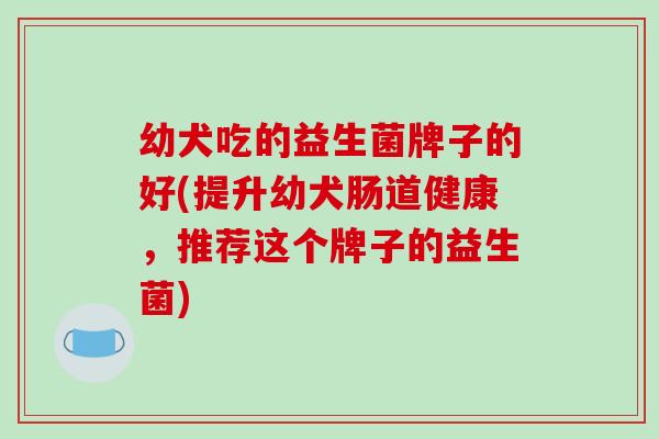 幼犬吃的益生菌牌子的好(提升幼犬肠道健康，推荐这个牌子的益生菌)