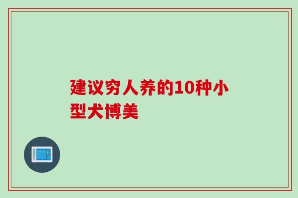 建议穷人养的10种小型犬博美