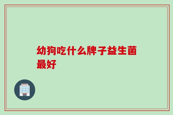 幼狗吃什么牌子益生菌好
