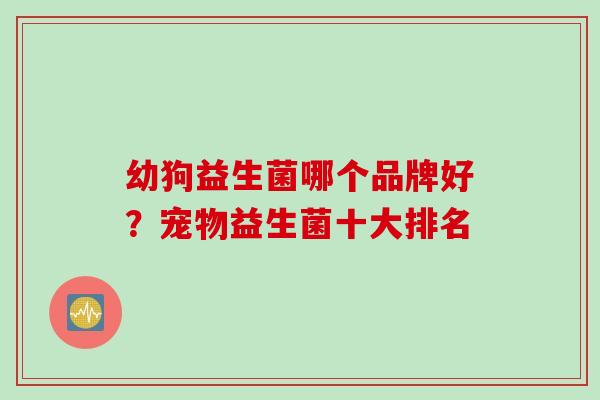 幼狗益生菌哪个品牌好？宠物益生菌十大排名