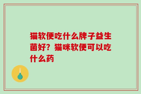 猫软便吃什么牌子益生菌好？猫咪软便可以吃什么药