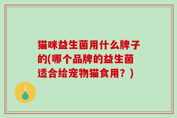 猫咪益生菌用什么牌子的(哪个品牌的益生菌适合给宠物猫食用？)