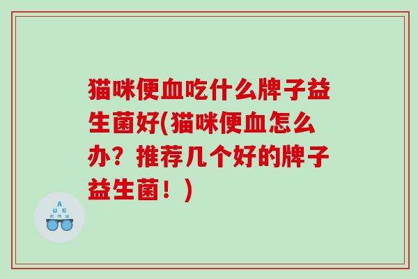 猫咪便血吃什么牌子益生菌好(猫咪便血怎么办？推荐几个好的牌子益生菌！)