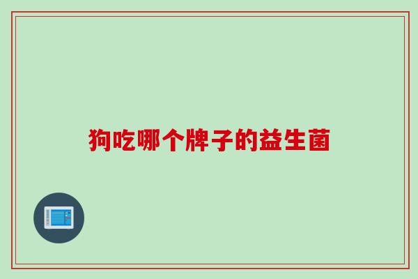 狗吃哪个牌子的益生菌