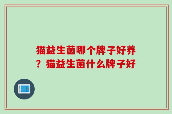 猫益生菌哪个牌子好养？猫益生菌什么牌子好