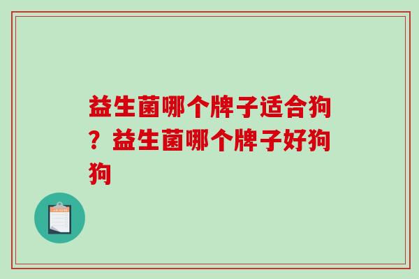 益生菌哪个牌子适合狗？益生菌哪个牌子好狗狗
