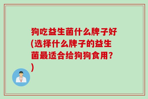 狗吃益生菌什么牌子好(选择什么牌子的益生菌最适合给狗狗食用？)