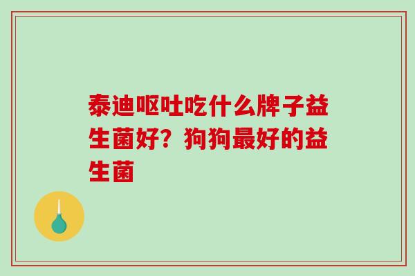 泰迪呕吐吃什么牌子益生菌好？狗狗最好的益生菌