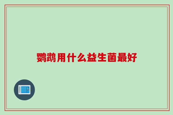 鹦鹉用什么益生菌最好