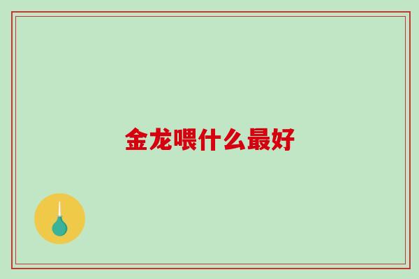 金龙喂什么好