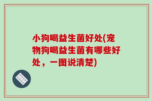 小狗喝益生菌好处(宠物狗喝益生菌有哪些好处，一图说清楚)