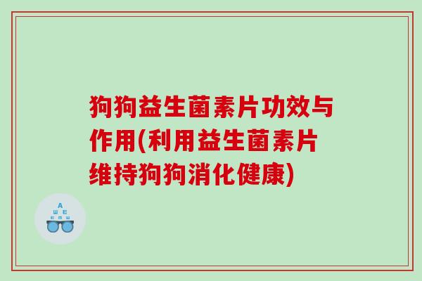 狗狗益生菌素片功效与作用(利用益生菌素片维持狗狗消化健康)