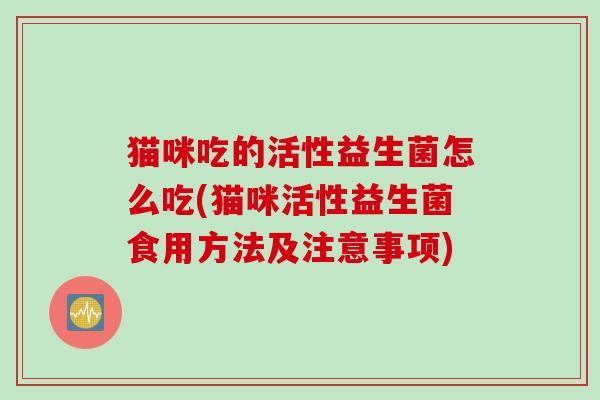 猫咪吃的活性益生菌怎么吃(猫咪活性益生菌食用方法及注意事项)