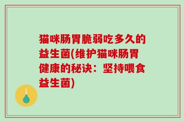 猫咪肠胃脆弱吃多久的益生菌(维护猫咪肠胃健康的秘诀：坚持喂食益生菌)