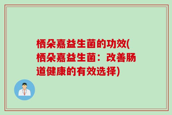 栖朵嘉益生菌的功效(栖朵嘉益生菌：改善肠道健康的有效选择)