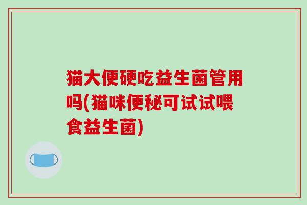 猫大便硬吃益生菌管用吗(猫咪可试试喂食益生菌) 猫大便硬吃益生菌管用吗(猫咪可试试喂食益生菌)