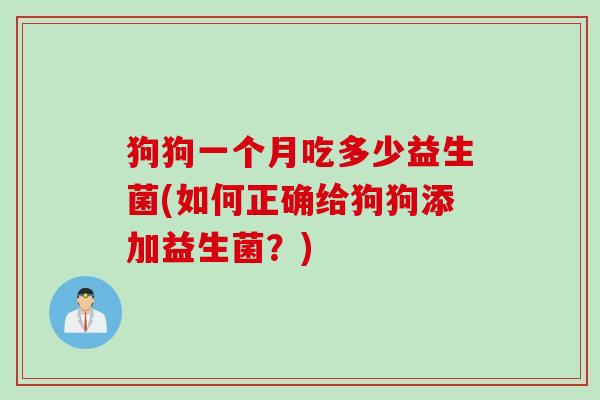 狗狗一个月吃多少益生菌(如何正确给狗狗添加益生菌？)