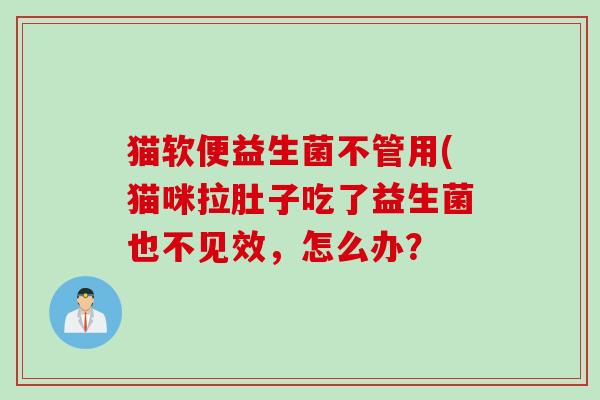 猫软便益生菌不管用(猫咪拉肚子吃了益生菌也不见效,怎么办? 猫软便益生菌不管用(猫咪拉肚子吃了益生菌也不见效,怎么办?