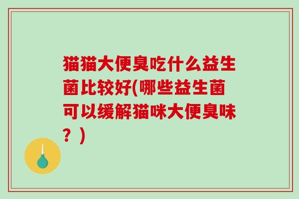 猫猫大便臭吃什么益生菌比较好(哪些益生菌可以缓解猫咪大便臭味?) 猫猫大便臭吃什么益生菌比较好(哪些益生菌可以缓解猫咪大便臭味?)
