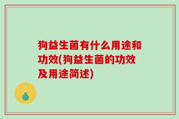 狗益生菌有什么用途和功效(狗益生菌的功效及用途简述) 狗益生菌有什么用途和功效(狗益生菌的功效及用途简述)
