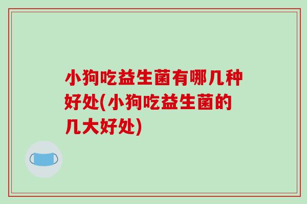 小狗吃益生菌有哪几种好处(小狗吃益生菌的几大好处) 小狗吃益生菌有哪几种好处(小狗吃益生菌的几大好处)